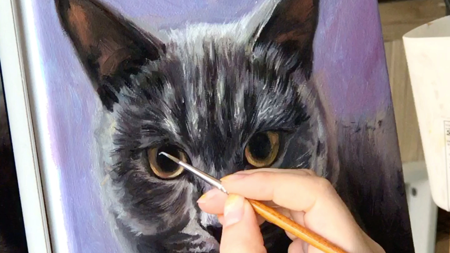 猫咪|油画|手绘|阿诺 施瓦辛格小盆友