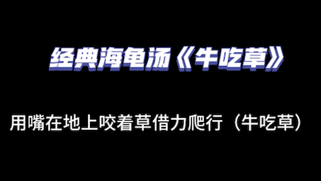 004.经典海龟汤《牛吃草》揭秘,新一期汤面来咯~哔哩哔哩bilibili