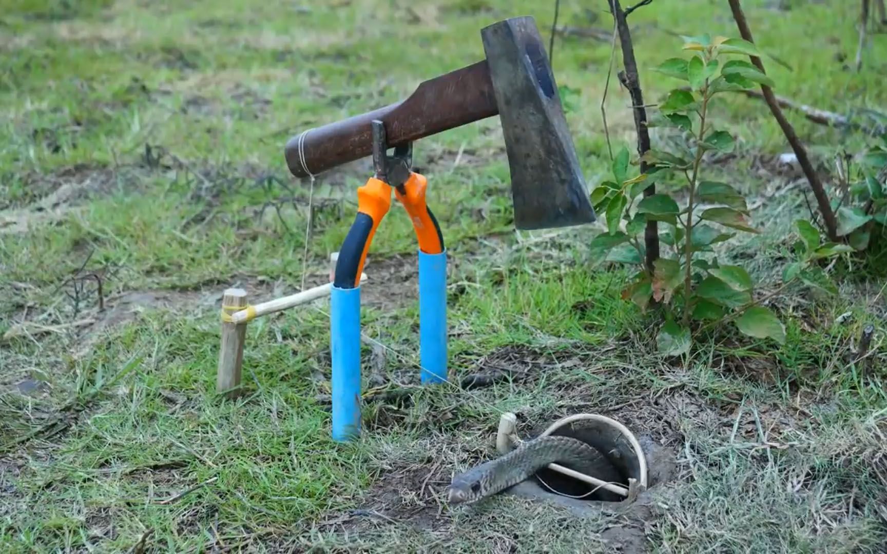 活动  捕蛇神人,看看非洲小伙怎么利用简单工具抓蛇的