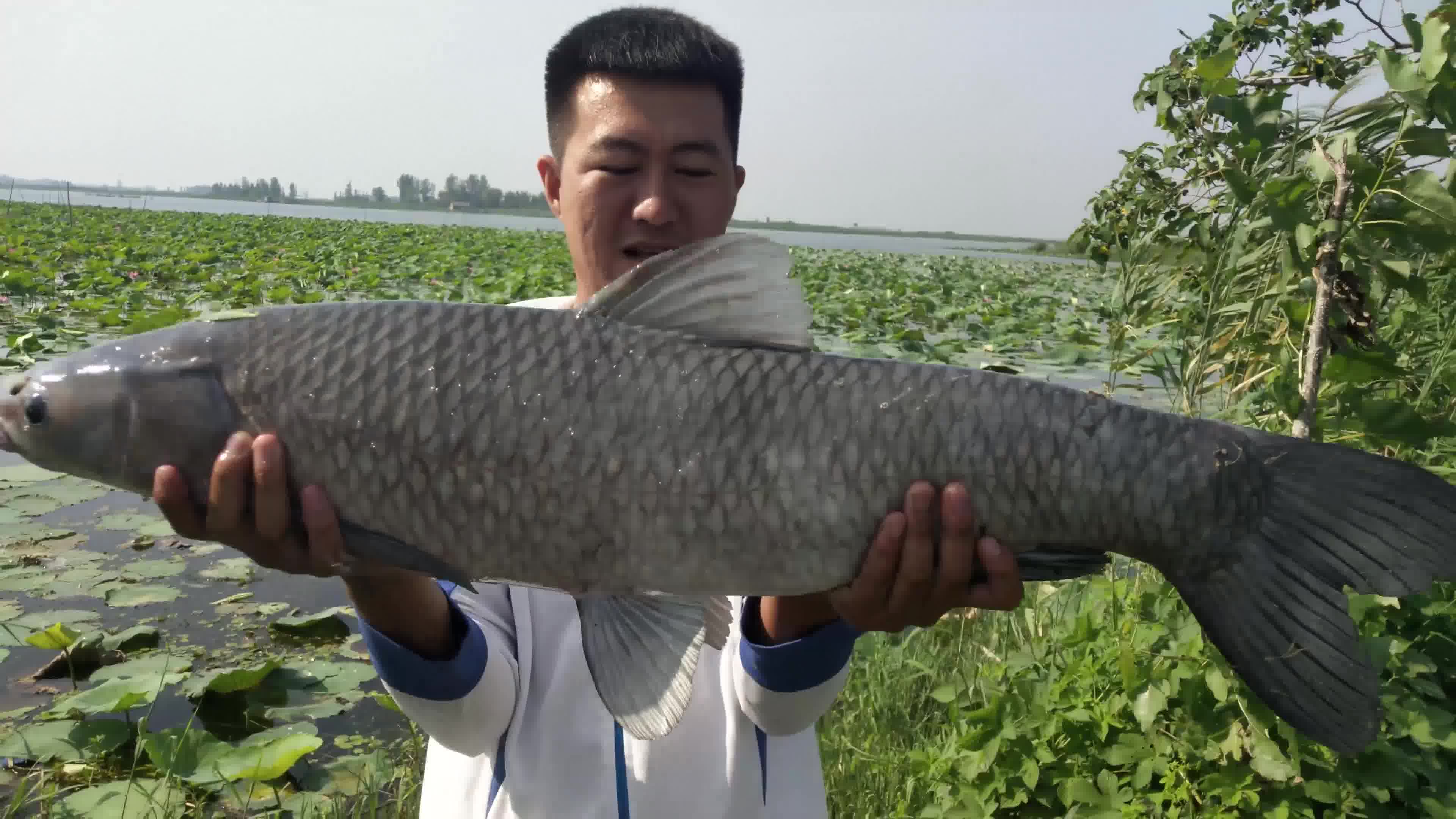 大伟划船去钓鱼,这条青鱼得有二十斤吧