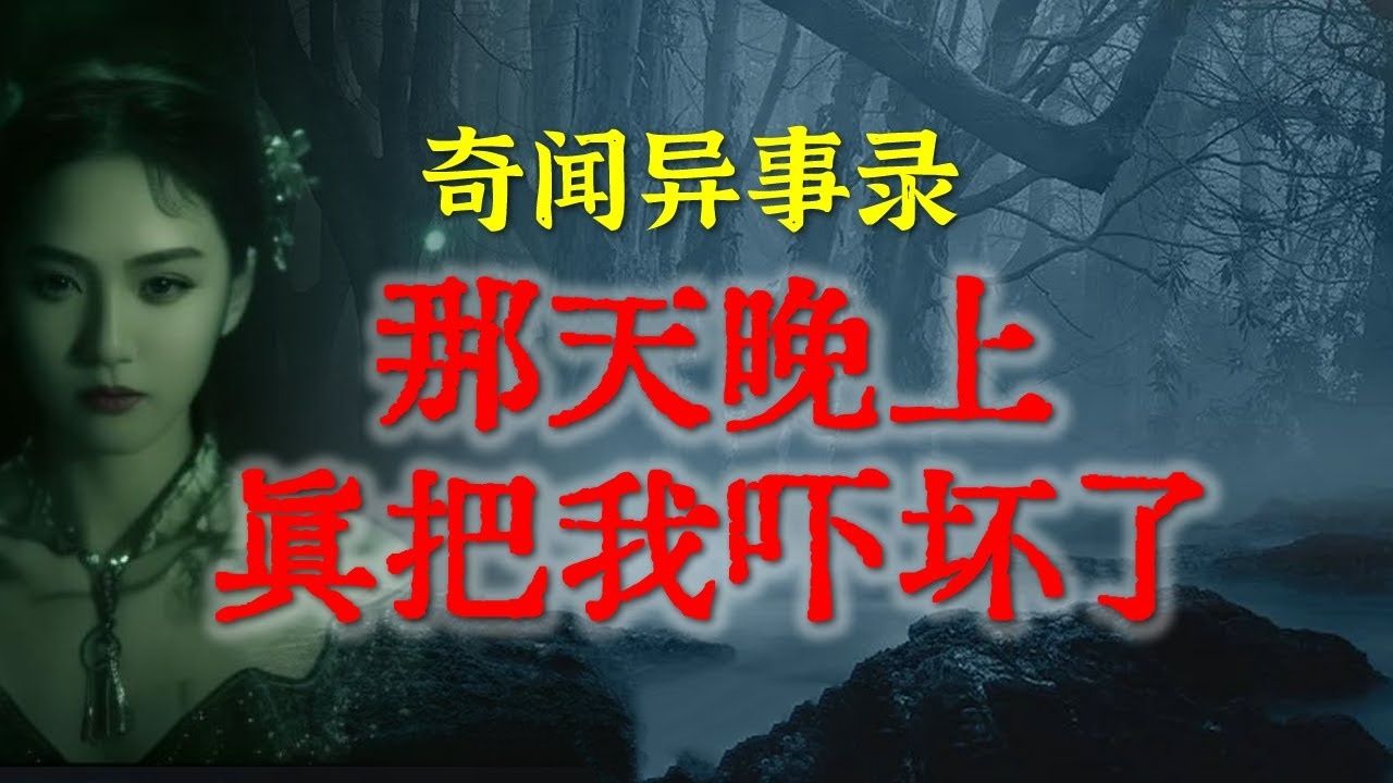 【灵异故事】那天晚上真把我吓坏了 鬼故事 灵异诡谈 恐怖故事 解压故事 网友讲述的灵异故事 「民间鬼故事灵异电台」哔哩哔哩bilibili