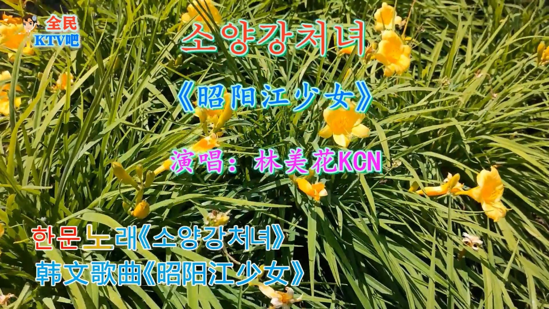 韩文歌曲昭阳江少女林美花用罗马音标注有韩文读音可以边唱边学韩文