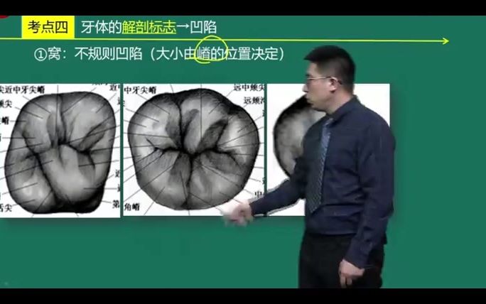 [图]2022口腔主治医师-精选考点班 牙体的解剖标志04