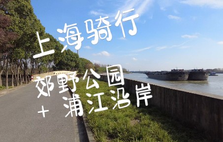 上海骑行松江篇3: 宁静又冷门的松南郊野公园 | 黄浦江沿岸骑行道 | 恬静舒适的田园小村宽阔路哔哩哔哩bilibili