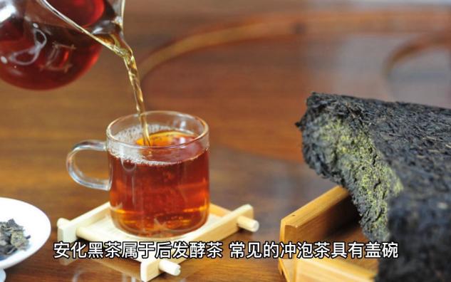 「茶文化」保温杯泡安化黑茶,这些你一定要知道!哔哩哔哩bilibili