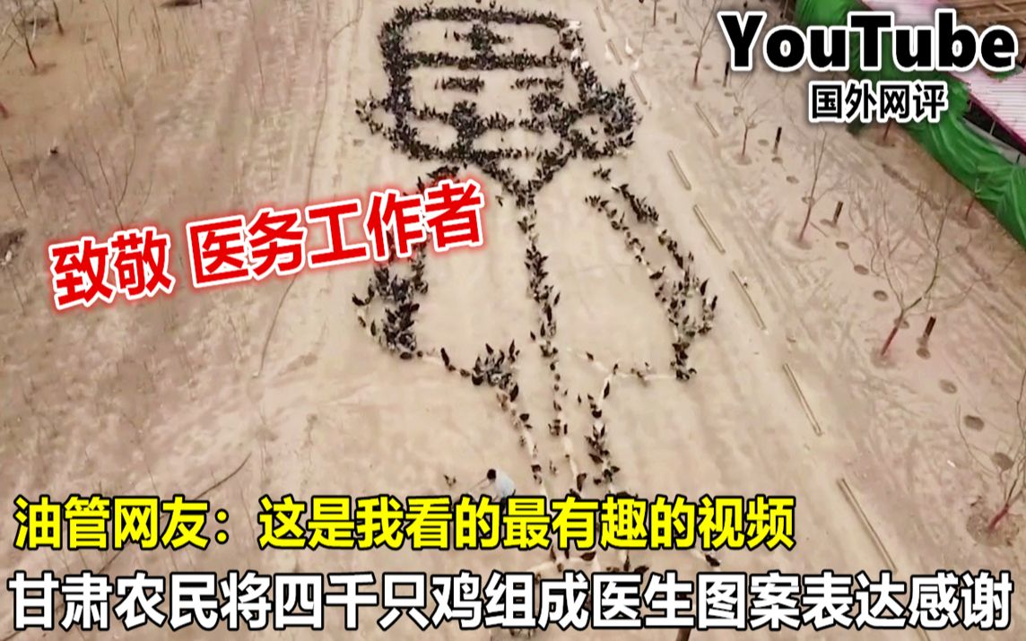 YouTube甘肃农民将四千只鸡组成医生图案表达感谢 引国外网友热议哔哩哔哩bilibili