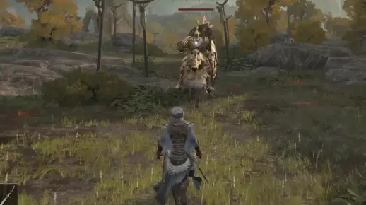 【艾尔登法环】总算打赢大树守卫了！【持续更新中】