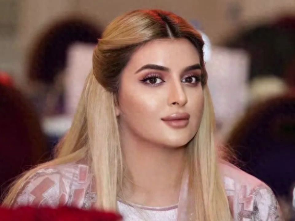 哈曼丹抵触政治联姻,不给谢克哈王妃过生日,二王妃有望复宠