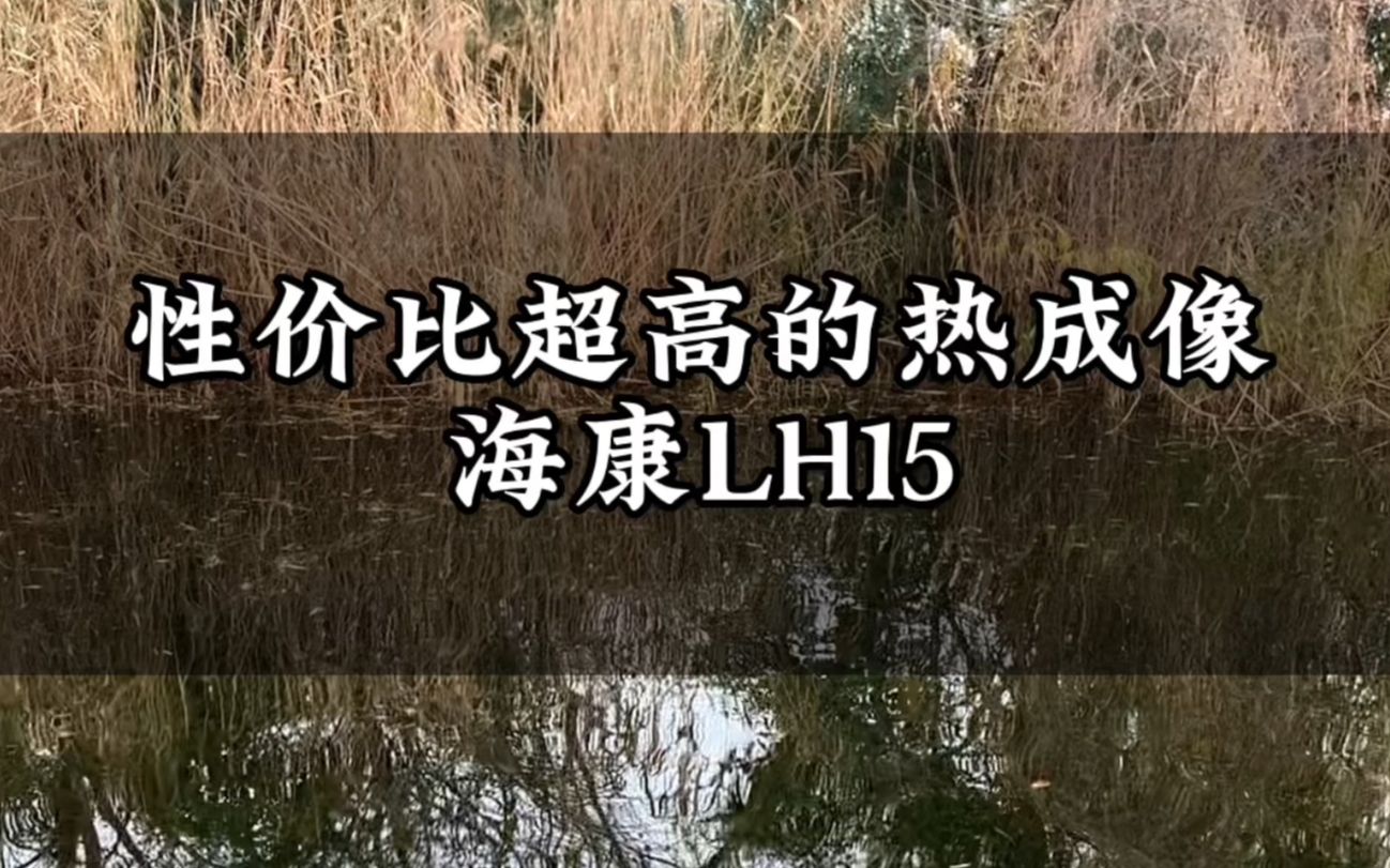 热成像夜视仪海康热成像LH15户外测试,白天热成像使用效果哔哩哔哩bilibili