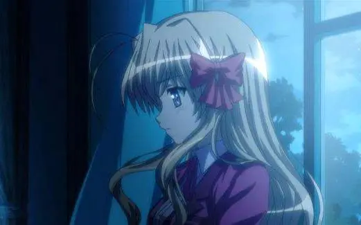 【720P/DVDRip/OAD】FORTUNE ARTERIAL 赤之约定/赤之约束【异域11番小队】