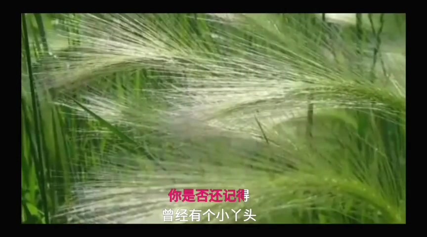 最新伤感情歌最怕你离开唐钰儿唱得悲伤至极听得人心酸落泪