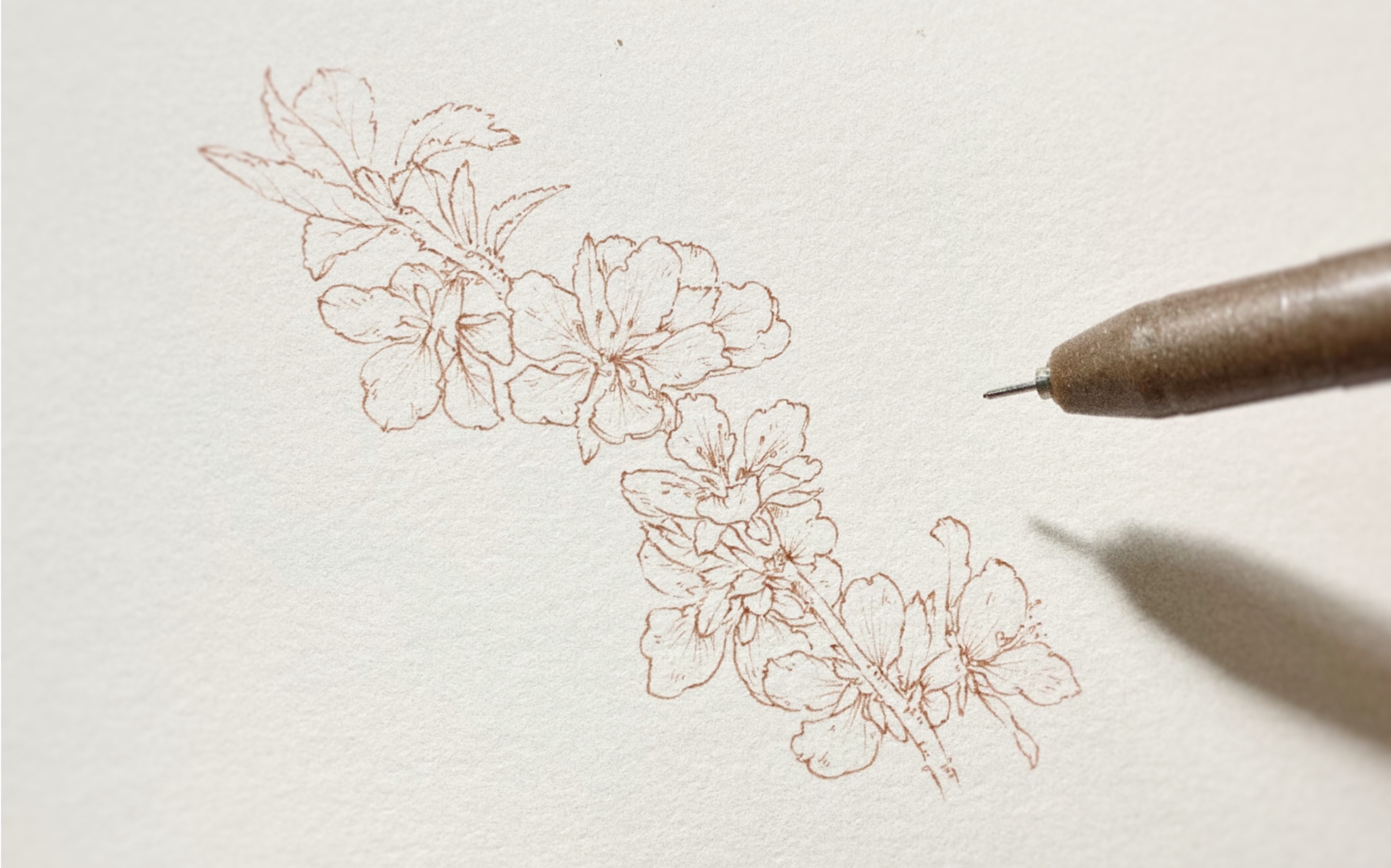 水彩画前期勾线如何处理