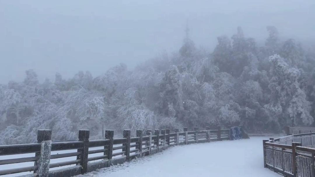 [图]一道人，尝爱赤脚走雪中，兴发则朗诵。嚼梅花满口，和雪咽之，曰:“吾欲寒香沁入心骨。”孟浩然情怀旷达，常冒雪骑驴寻梅，曰:“吾诗思在灞桥风雪中驴背上。”