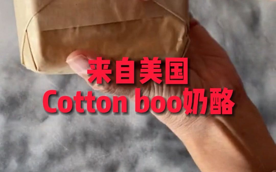 来自美国Cotton boo奶酪哔哩哔哩bilibili