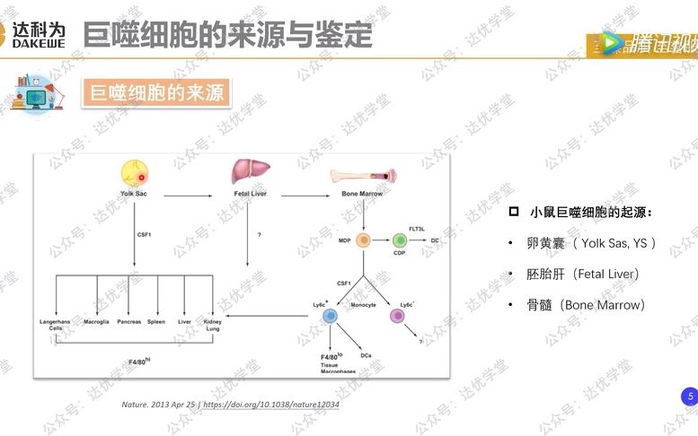 【直播回放】用流式玩转巨噬细胞研究 ——巨噬细胞的鉴定与极化分型哔哩哔哩bilibili