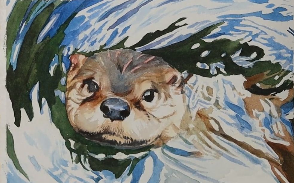【水彩】动物水獭,如何画水波纹