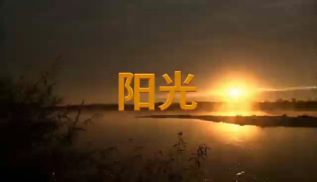 和大人一起读《阳光》朗诵版背景视频哔哩哔哩bilibili