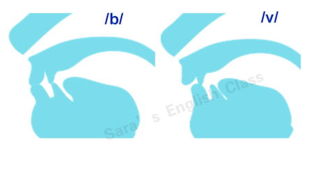 [图]难以分辨，令人头疼的英语发音 辅音篇1 s/ sh b/ v sh/ ch p/b#英语学习 #美式发音 #美式发音教学 #免费课程