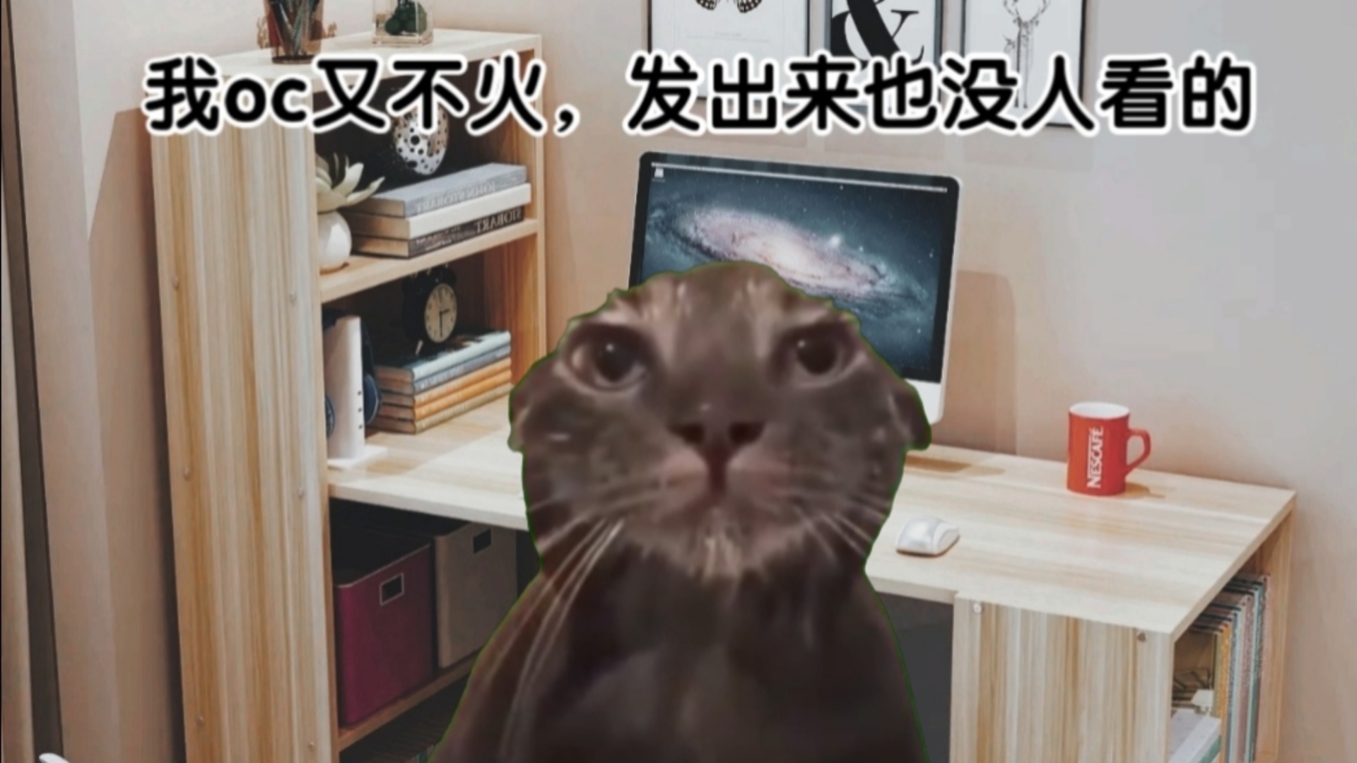 【猫meme】oc人的一次写作经历哔哩哔哩bilibili