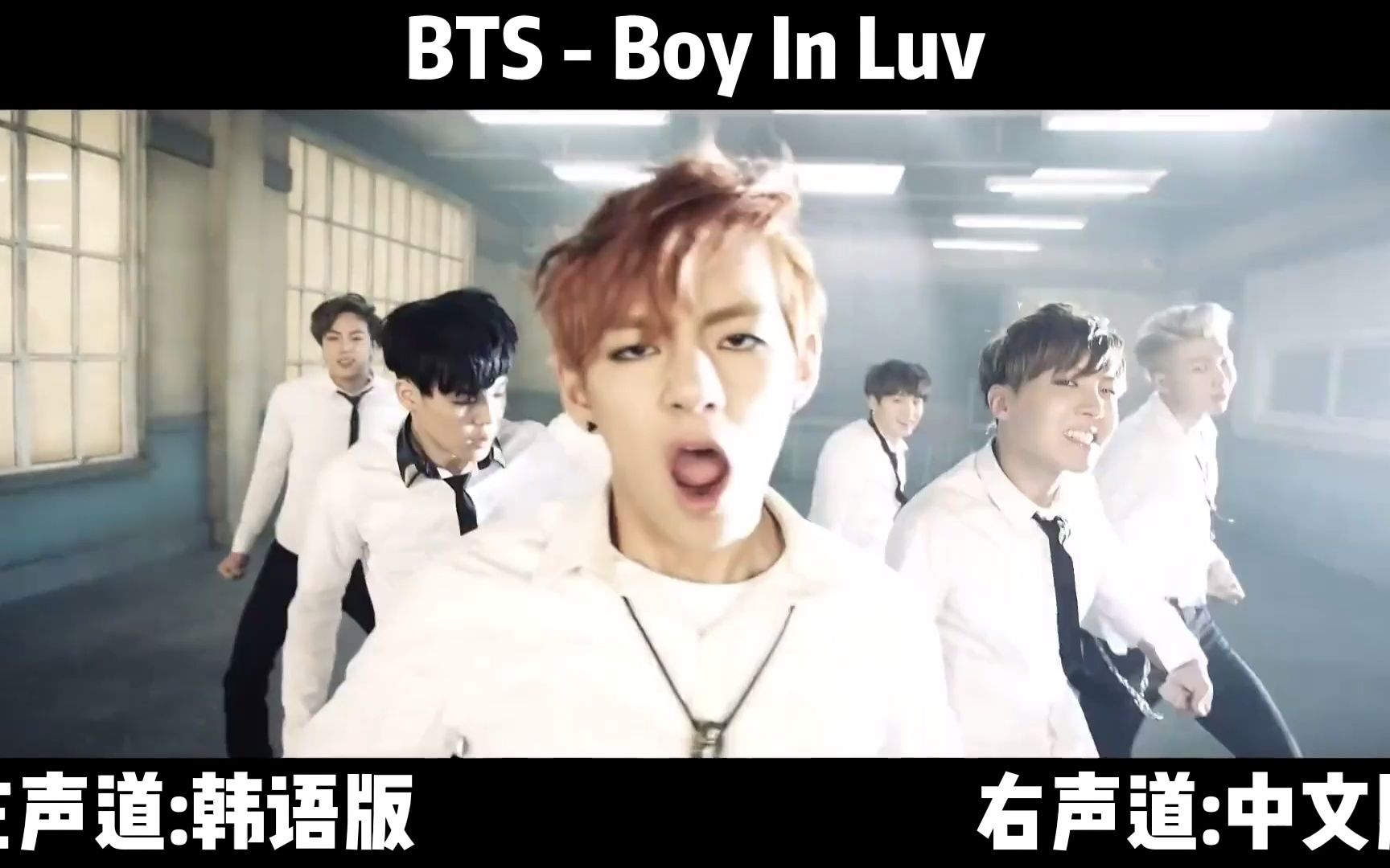 [图]Boy In Luv 双语X双声道版