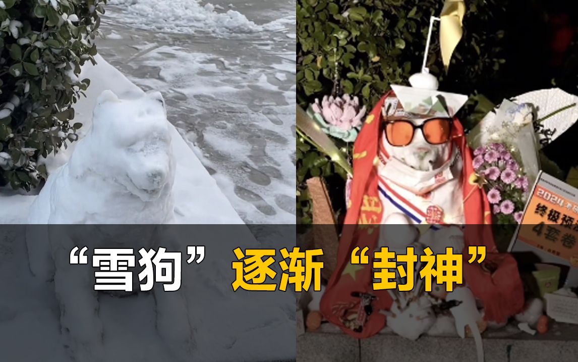 “雪狗”变“狗神”!女生堆了只雪狗路人纷纷为其装扮哔哩哔哩bilibili