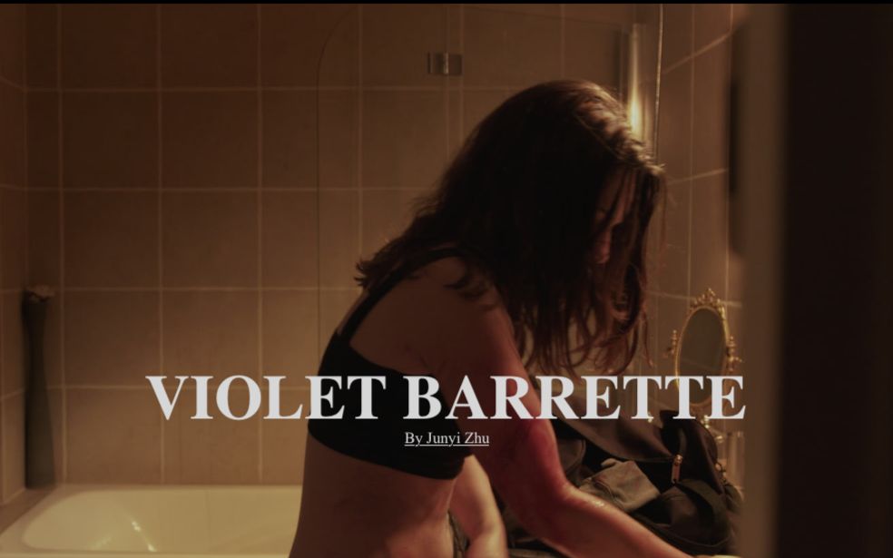 Violet Barrette(紫发夹)哔哩哔哩bilibili