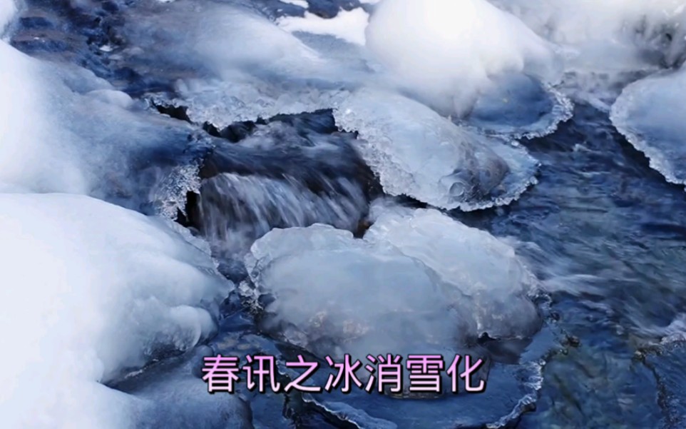 春讯之冰开雪化哔哩哔哩bilibili