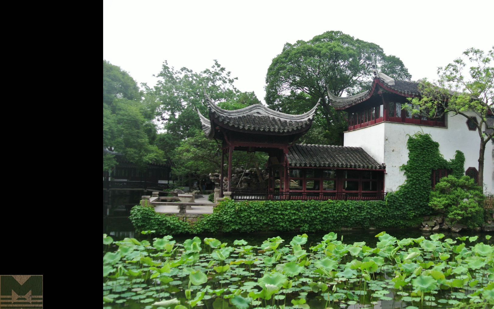 静赏苏州园林《香洲》