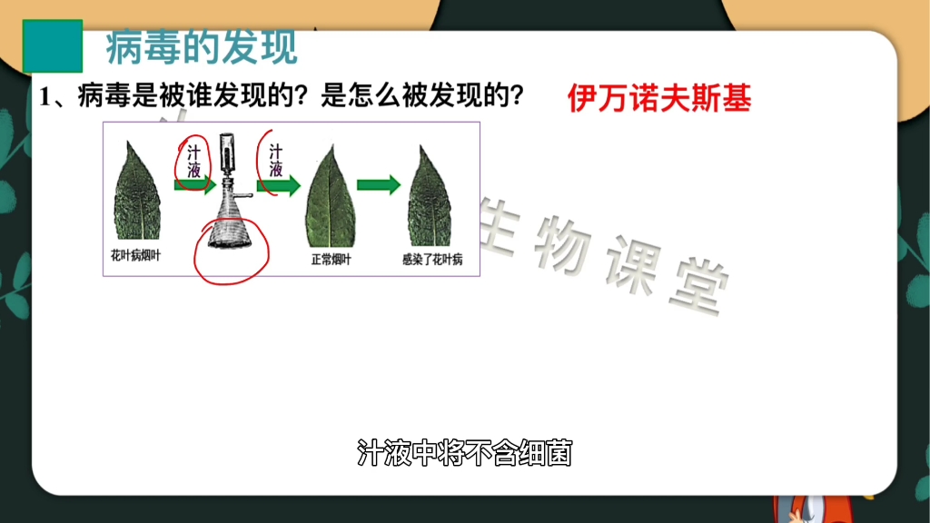 病毒是被谁发现的,又是如何发现的呢?今天我们一起来揭晓这个答案 #初中生物 #病毒 #烟草花叶病哔哩哔哩bilibili