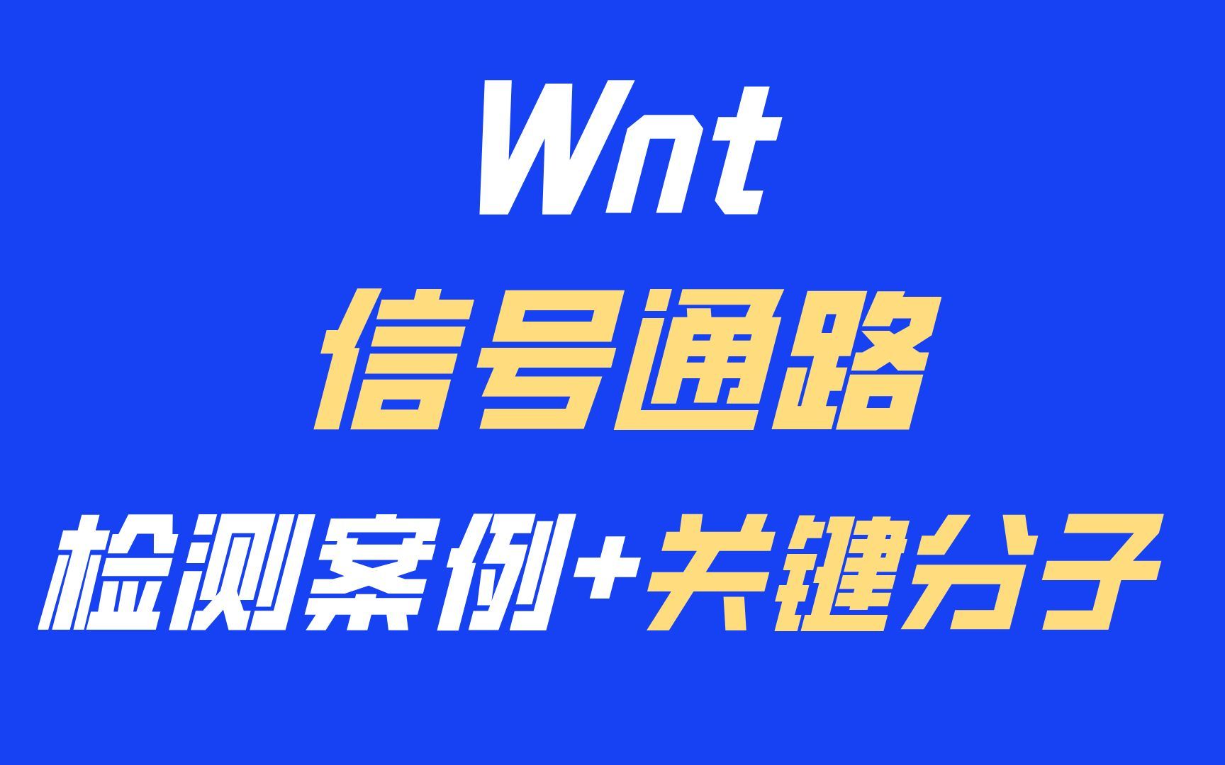 Wnt信号通路全貌,检测案例,钙离子通路哔哩哔哩bilibili