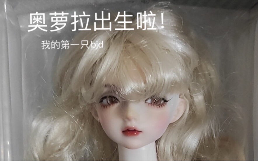 【BJD】【CD】奥萝拉出生啦!我的第一只bjd!哔哩哔哩bilibili