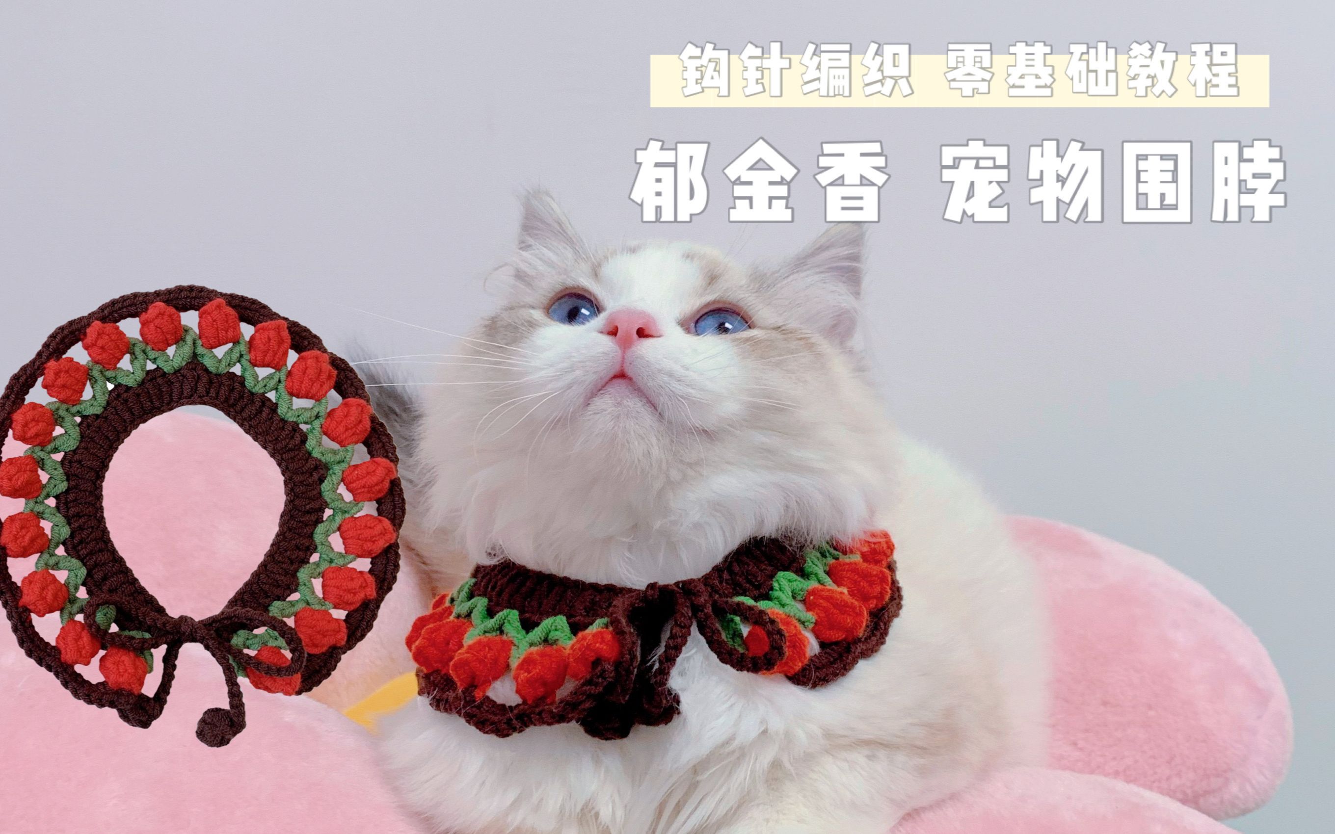 【宠物围脖】郁金香花 钩针编织猫咪狗脖圈小白教程 可调试大小可松紧