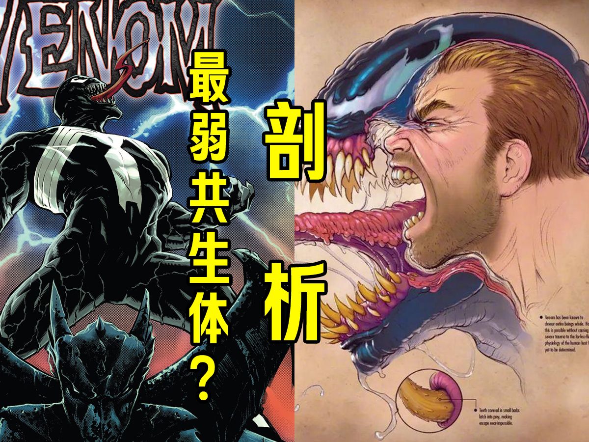 毒液身体剖析:他真的是最弱共生体?毒液到底有多强?