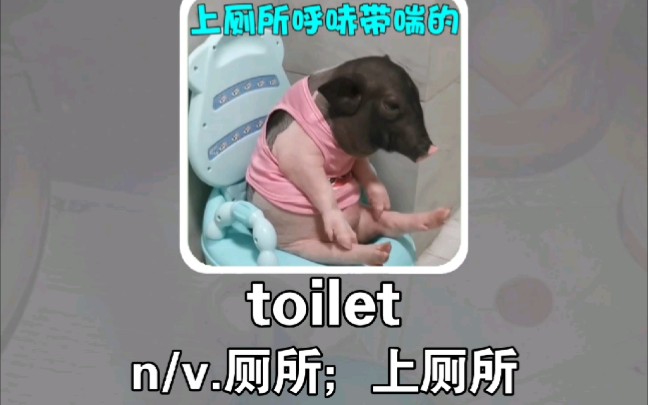 搞笑英语:厕所toilet哔哩哔哩bilibili