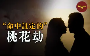 Download Video: 一场精心安排的“桃花阴谋” | Wayne调查