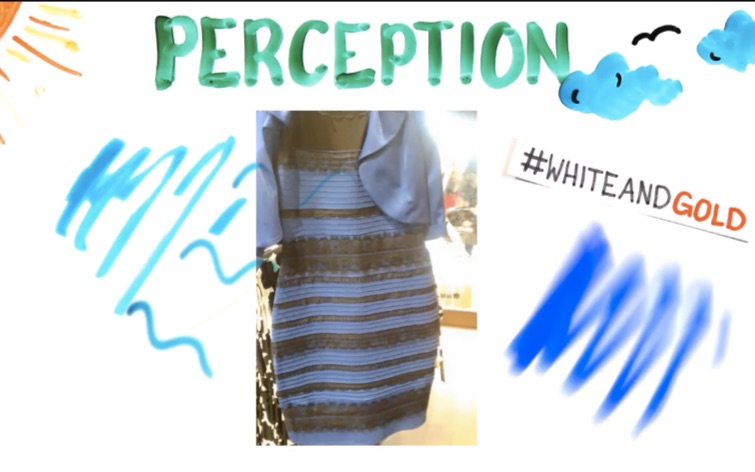 [图](YouTube搬运+翻译)What Colour Is This Dress?