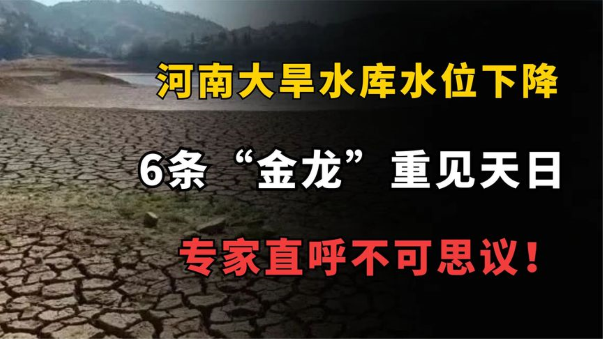 河南水库水位下降数百米,露出6条“金龙”,专家直呼不可思议哔哩哔哩bilibili