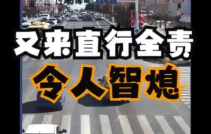 Télécharger la video: 又来直行全责，令人智熄