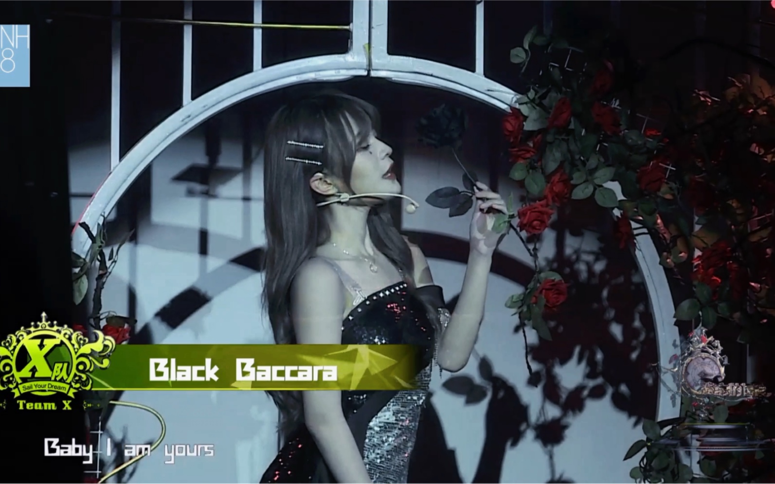 [图]【杨冰怡】七版黑玫瑰《black baccara》混剪｜不喜勿喷