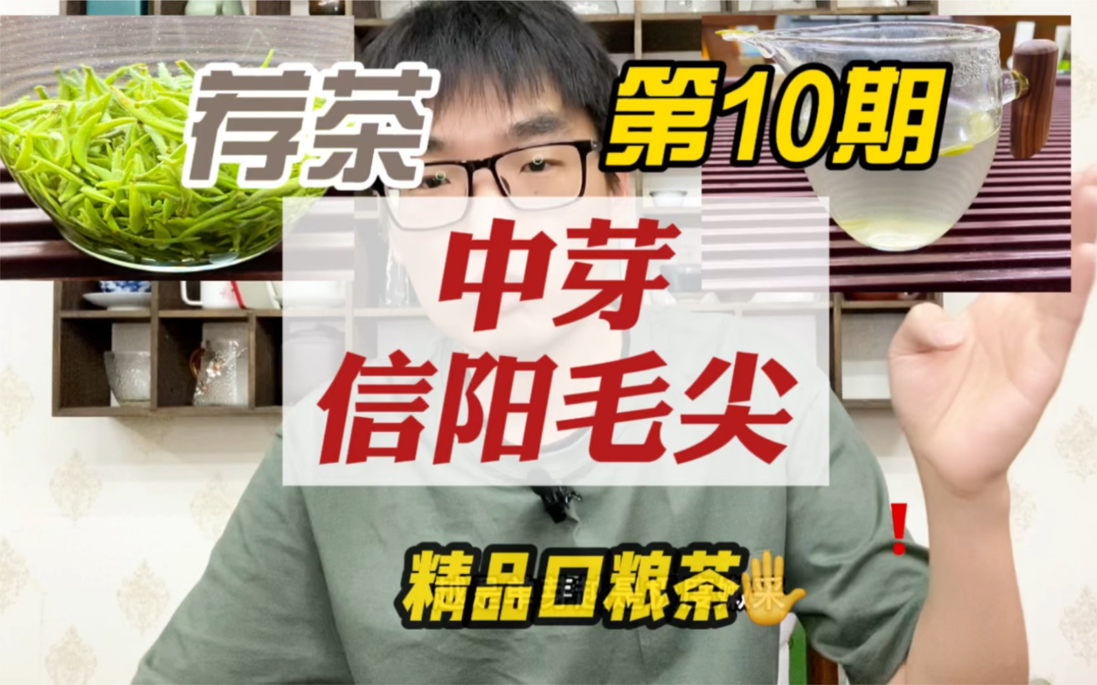 信阳毛尖中芽,精品口粮茶,新茶火气大,最近喝了一嘴泡哔哩哔哩bilibili