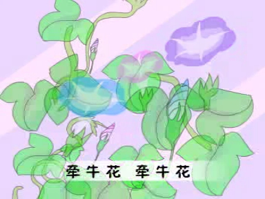 儿歌精选系列 牵牛花哔哩哔哩bilibili