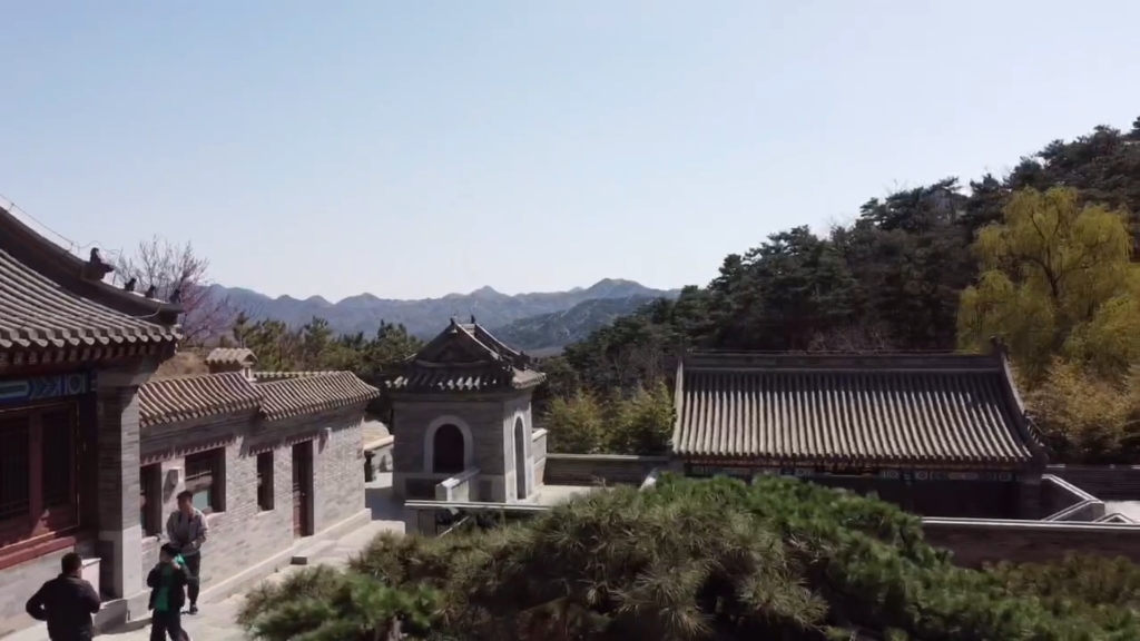 北京昌平延寿寺-盘龙松