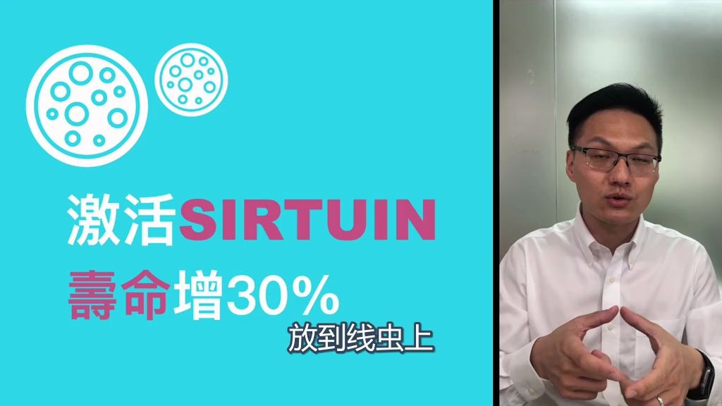 【佰瑞健RejunBio】长寿基因SIRT是如何被发现?NMN同白藜芦醇才是最强大组合?哈佛大学教授David Sinclair的抗老餐单是什么?佰瑞健CEO哔哩哔哩...