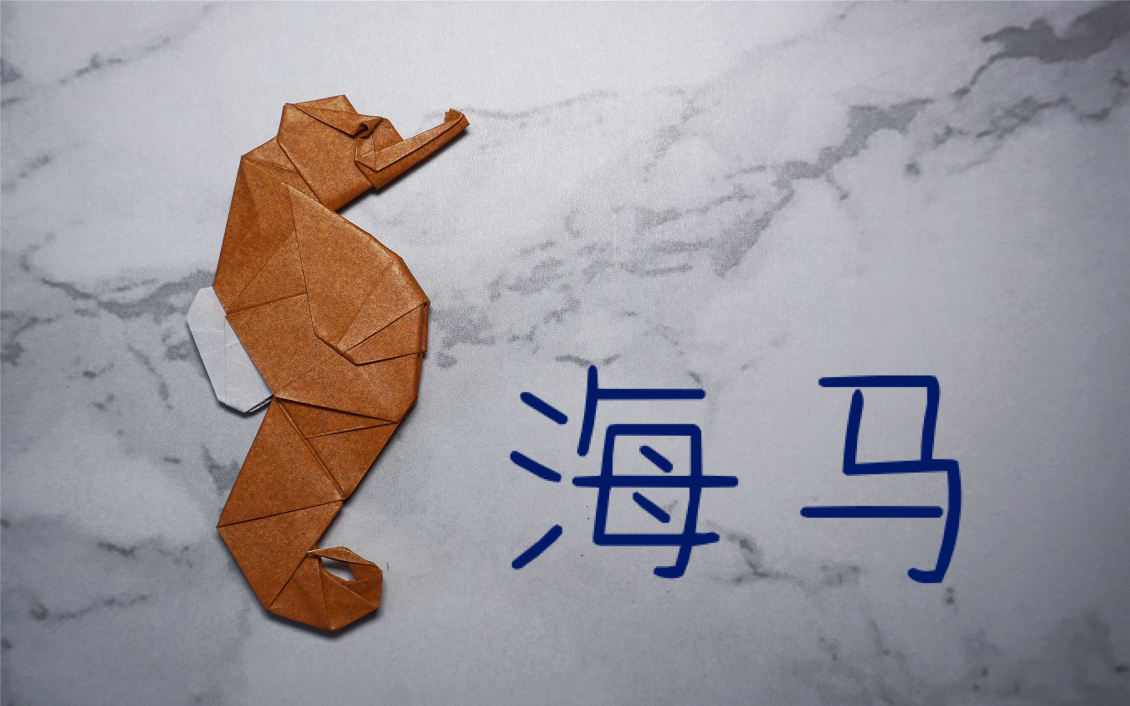 【折纸教程】教你折一只平面的海马~(萩原元)|哈喽玛琳达