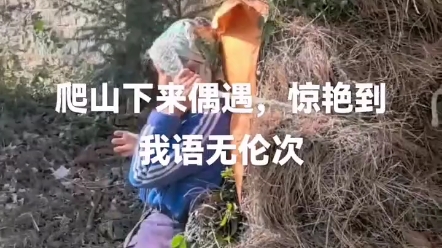 七十七岁老人背起一百多斤草,这就是农村生活哔哩哔哩bilibili