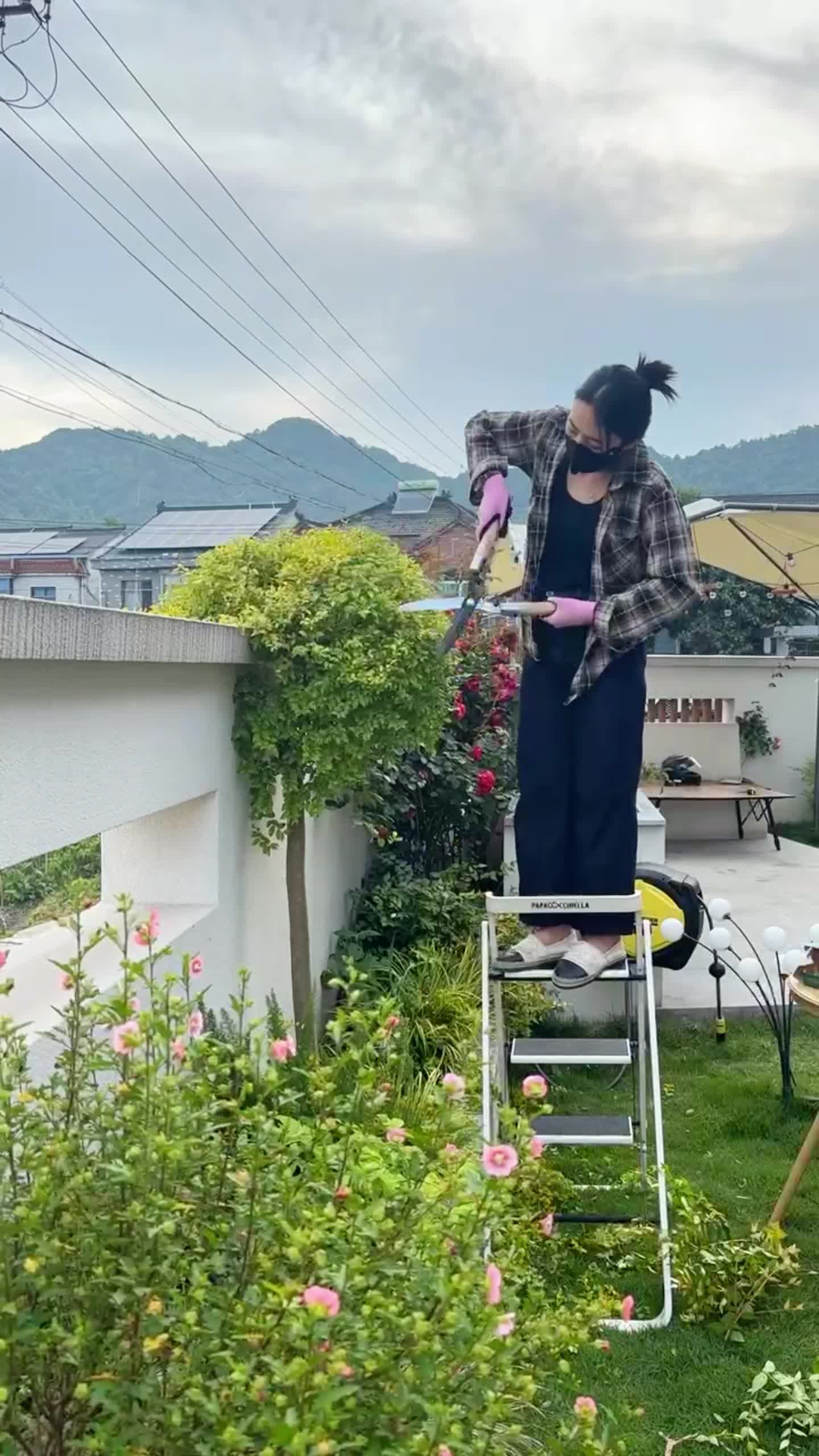 花园打理|一招治愈强迫症