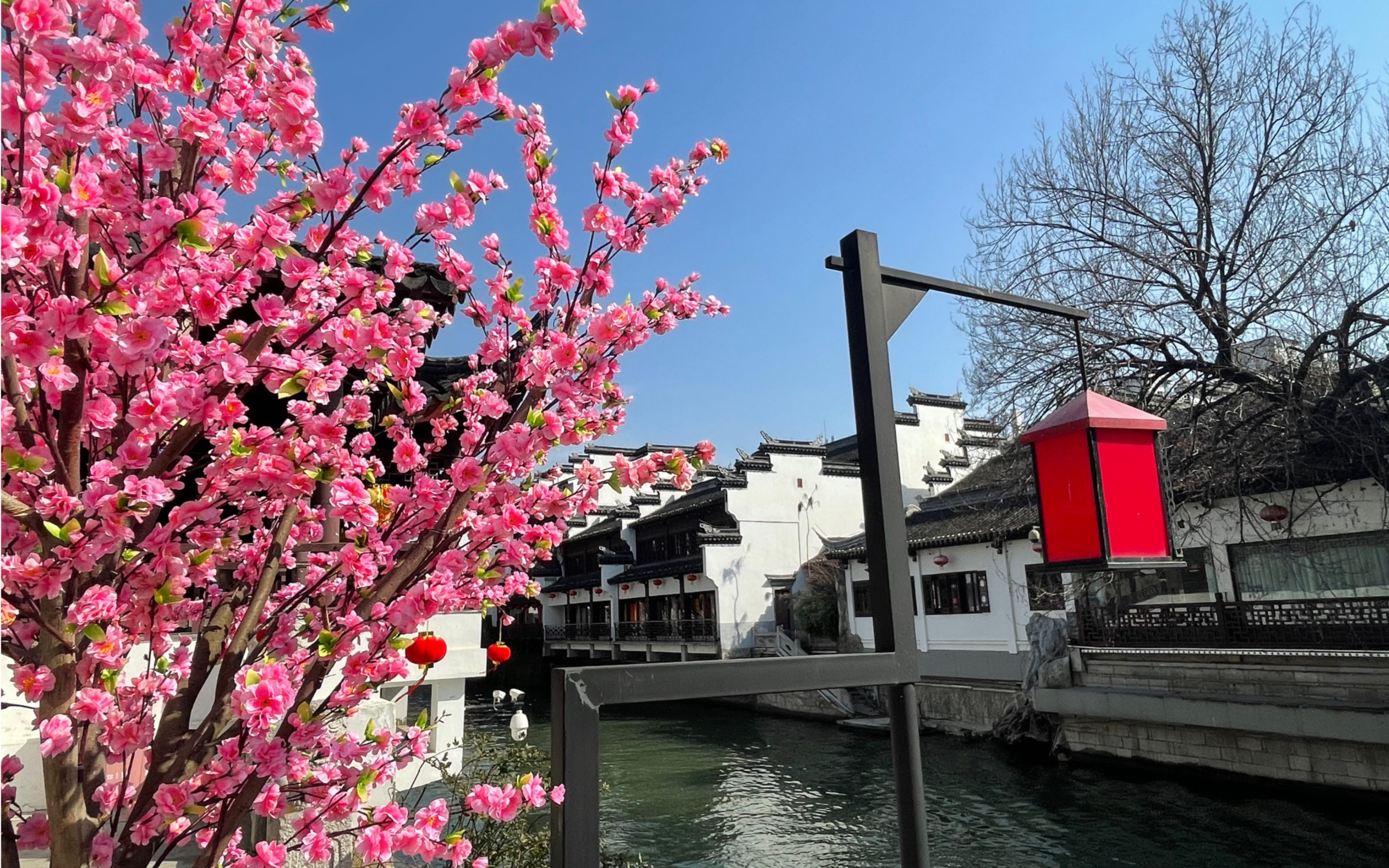 南京游记—贡院南苑