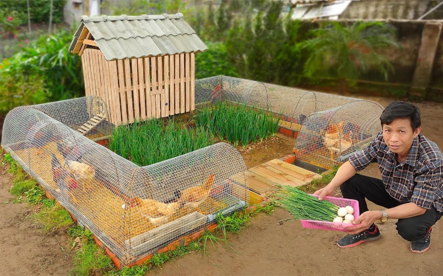 建造一个家用小院,既能养鸡鸭,又能种蔬菜,绝对是农村人的最爱