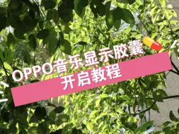 Download Video: 还不会开启OPPO流体云?教程来了！