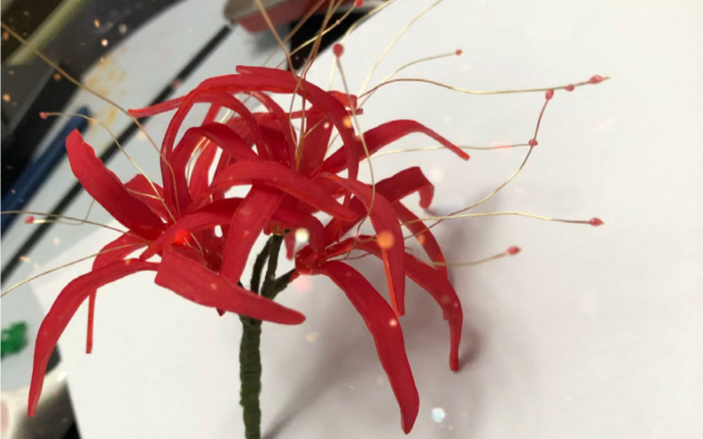 热缩片,彼岸花_哔哩哔哩 (゜-゜)つロ 干杯~-bilibili